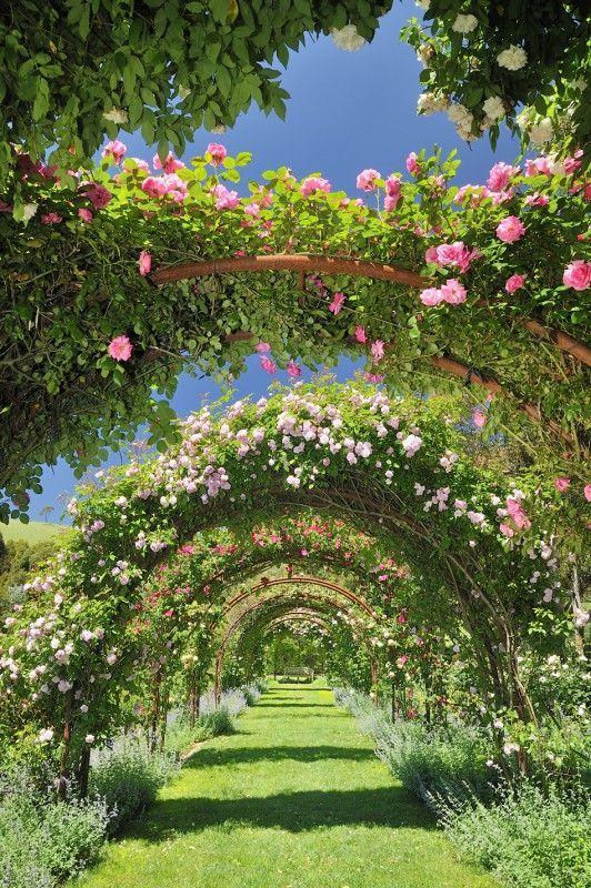 Eternal Aria: Timeless Elegance Floral Mix